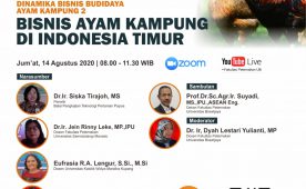 Seminar Online Bisnis Ayam Kampung di Indonesia Timur