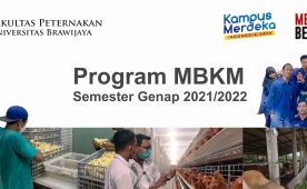 Program MBKM Semester Genap 2021/2022