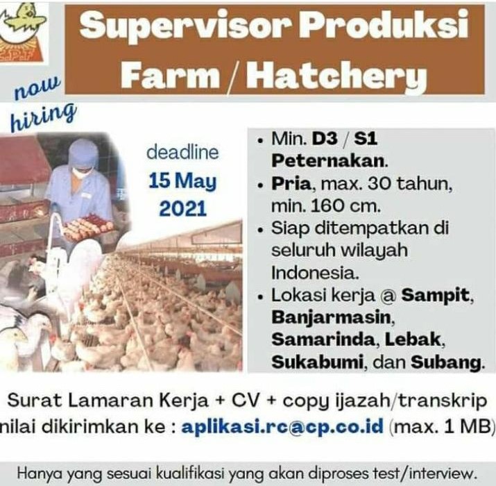Lowongan Supervisor Produksi Farm