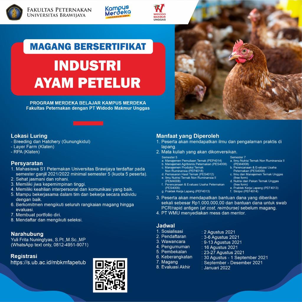 Magang Bersertifikat Industri Ayam Petelur