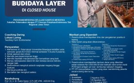 Magang Bersertifikat Budidaya Layer di Closed House