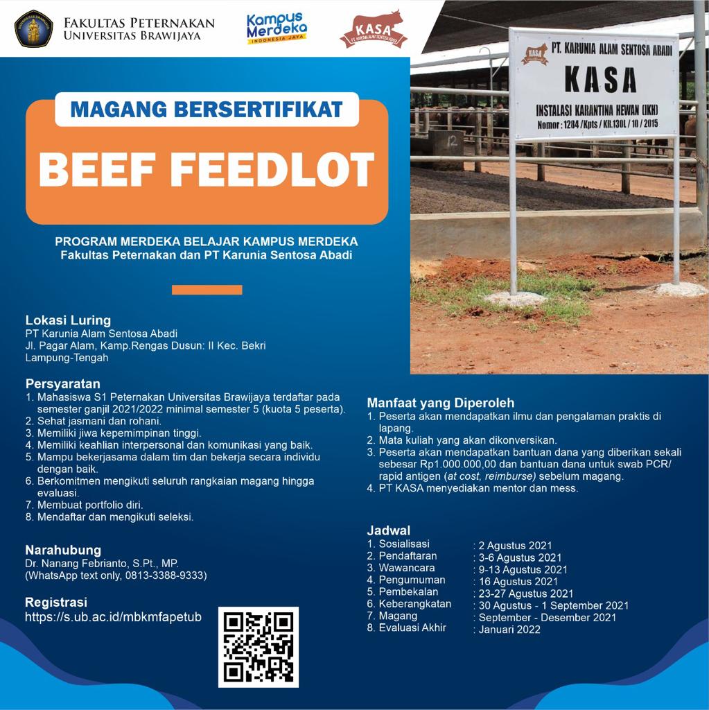 Magang Bersertifikat Beef Feedlot