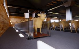 IoT Cattle Scales: Fast, Accurate, and Precise Solution for Recording Cattle Body Weights