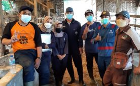 Mahasiswa Sarjana dan Pascasarjana Fapet UB Berkolaborasi Lakukan Pemeriksaan Kebuntingan Sapi