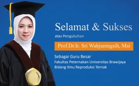 (Indonesia) Selamat atas Pengukuhan Guru Besar