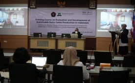 Collaborating with Wageningen University and Research Faculty of Animal Science UB Held a Training to Build Dairy Cattle Farming Business in Indonesia