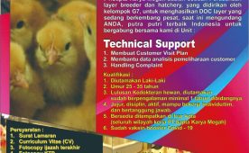 Job Vacancy as Technical Support