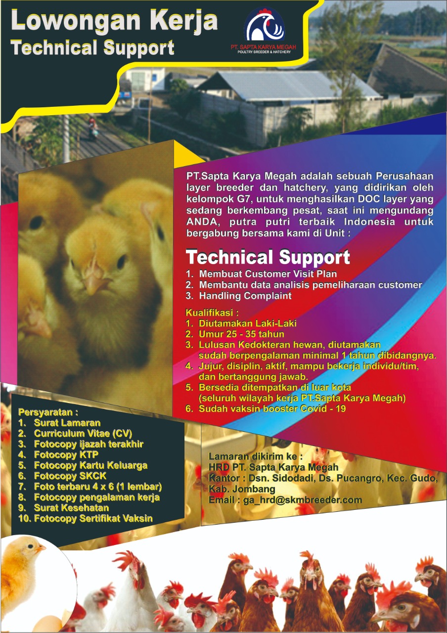 Job Vacancy as Technical Support