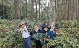 Dosen dan Mahasiswa UB Olah Limbah Kulit Kopi di Kabupaten Bondowoso untuk Pakan Ternak