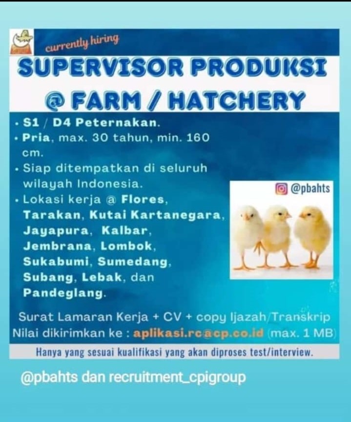 Job Vacancy Farm Hatchery