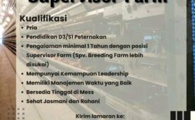 Job Vacancy at Cahaya Gemilang Farm