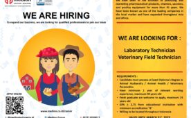 Job Vacancy at Medion