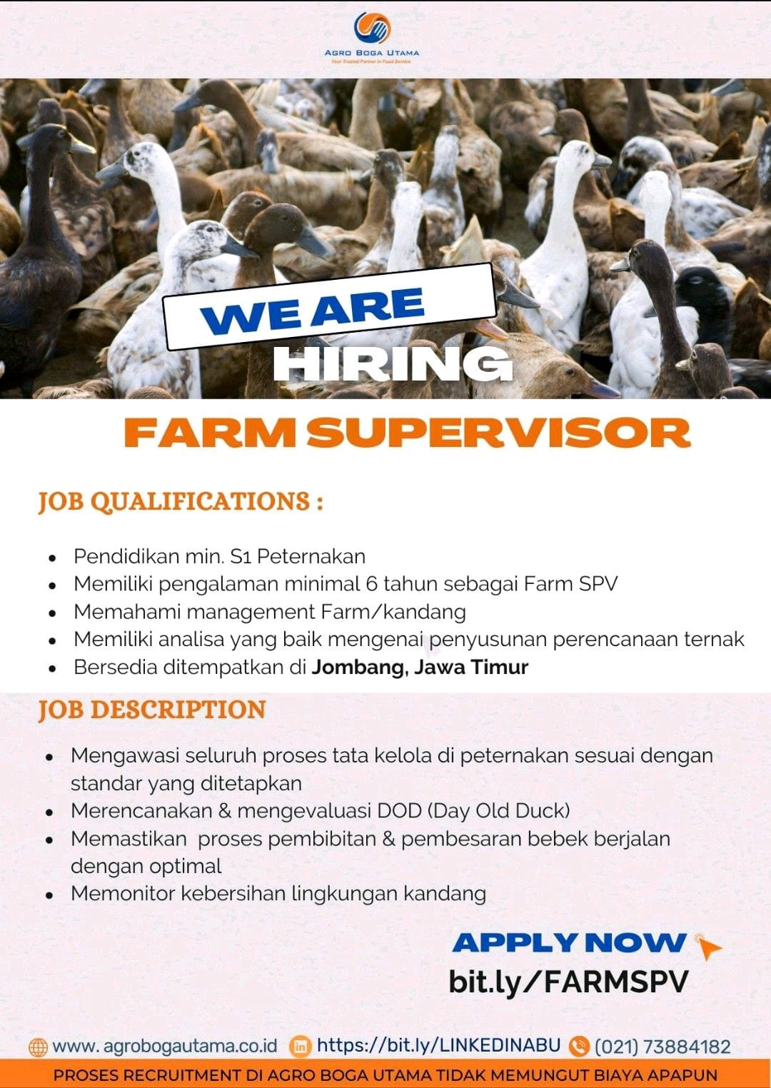 Job Vacancy at  Agro Boga Utama