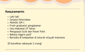 Job Vacancy at PT. New Hope Indonesia
