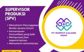 Job Vacancy at PT. Rumput Ilalang Hijau