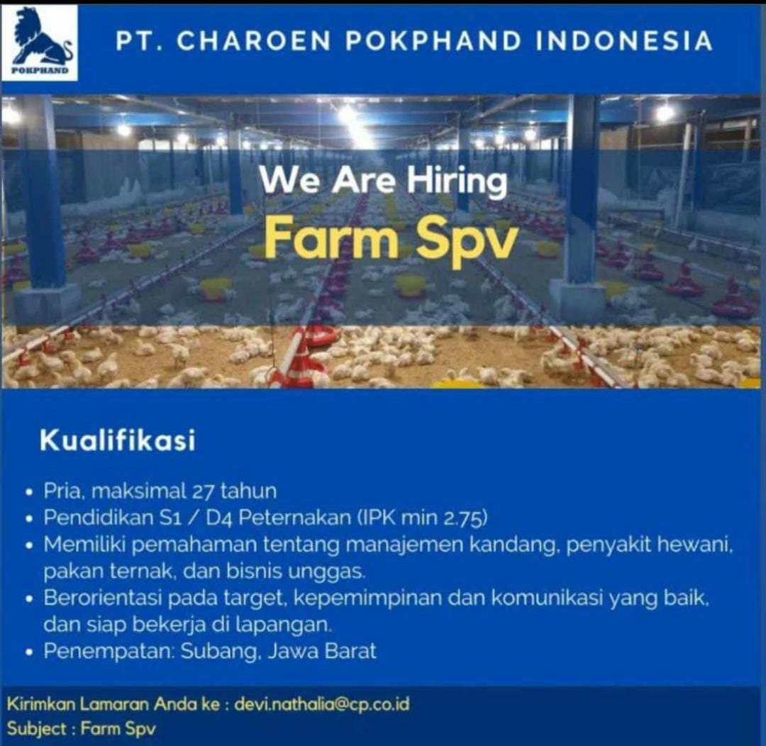 Lowongan Kerja PT. Charoen Pokphand Indonesia