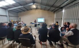 Faculty members from the Faculty of Animal Husbandry, Universitas Brawijaya (FAPET UB), are involved in the Beef Cattle Farmers Group activity in South Australia.