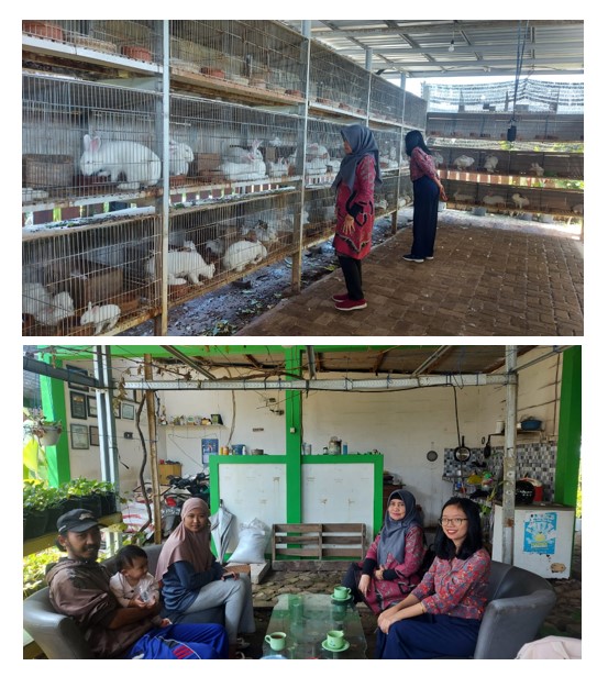 Lecturers from the Faculty of Animal Husbandry Conduct Research Evaluation of Rabbit Production Performance in People’s Farms, Bumiaji District, Batu City